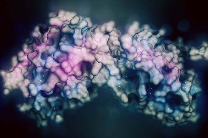 Cytokine IL10