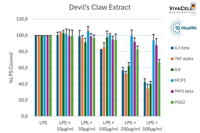 Devil's claw extract…
