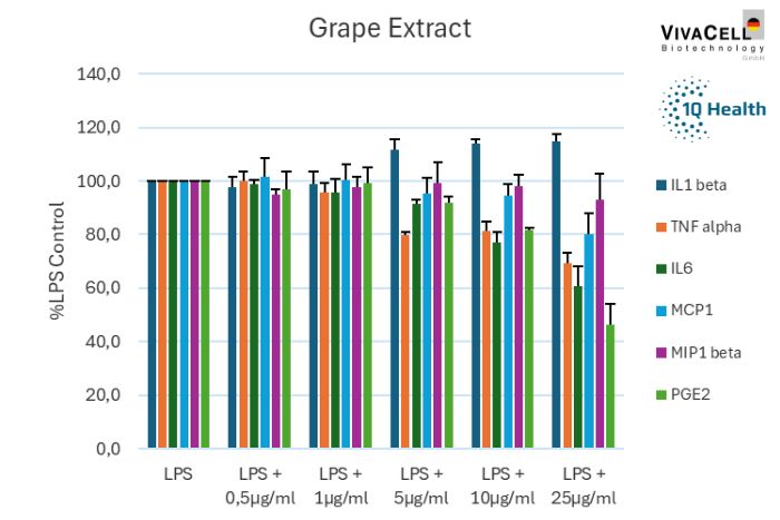Grape seed extract…