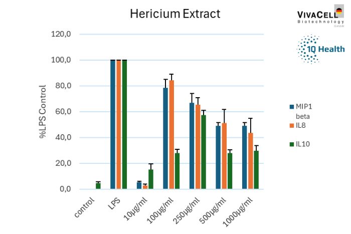 Lion's mane extract…