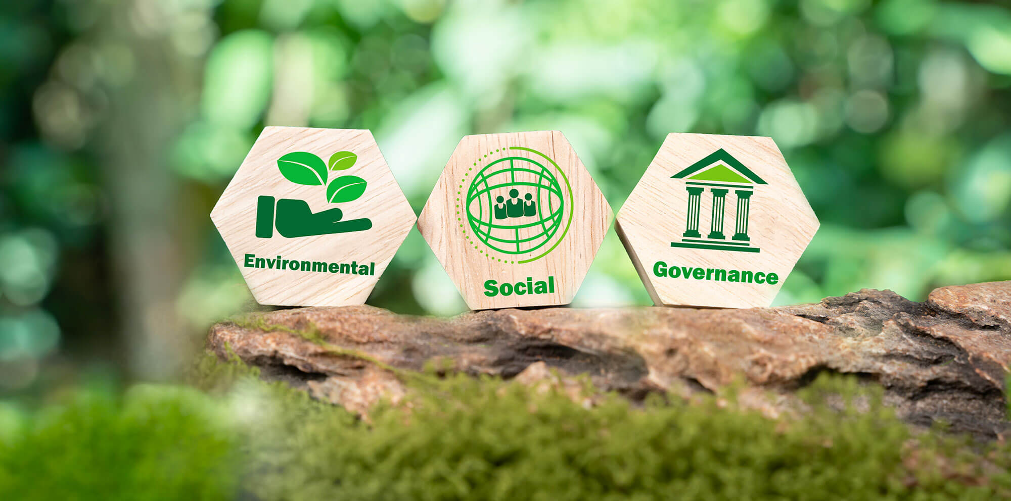 Schmuckbild ESG (© iStock 2197346371 from jittawit.21) Schmuckbild ESG