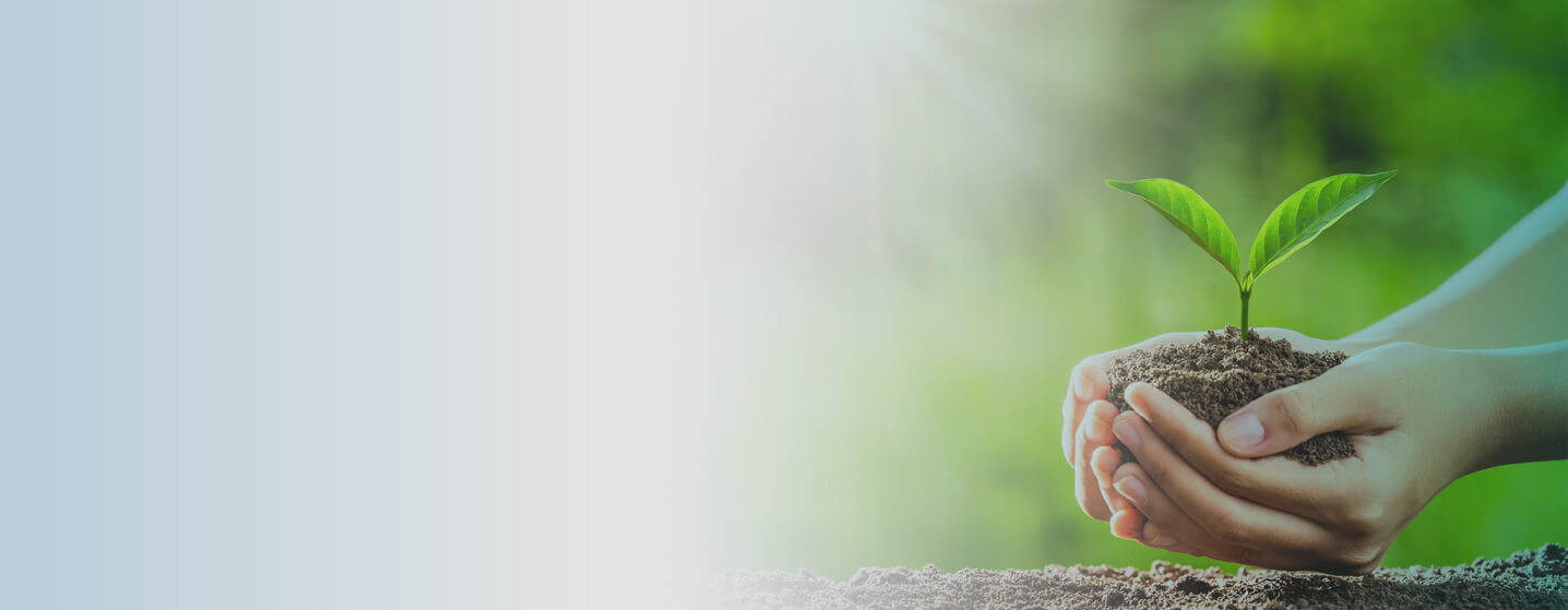 Schmuckbild Environment (© iStock 1247794763 from lovelyday12) Schmuckbild Environment