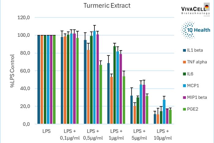 Turmeric extract…