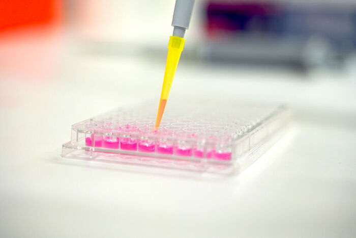 Vivacell Biotechnology, Denzlingen